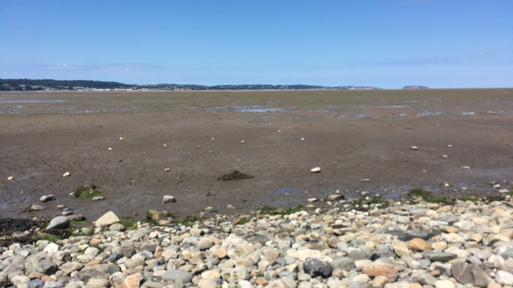 1FD42542-9352-4E3A-BF1C-D25F6E12923D