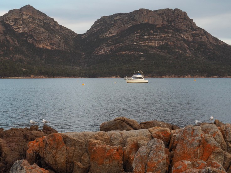 6237E803-0C5B-4566-963E-AE886AEC5E18