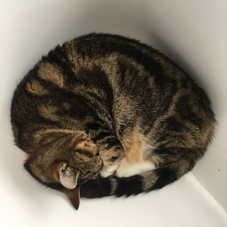 3B7E1F87-BB30-469F-8DE4-1319A3D3060E