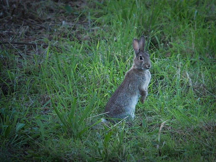 4CCAD80D-3D2E-4EF0-8D0F-B08EFA157090