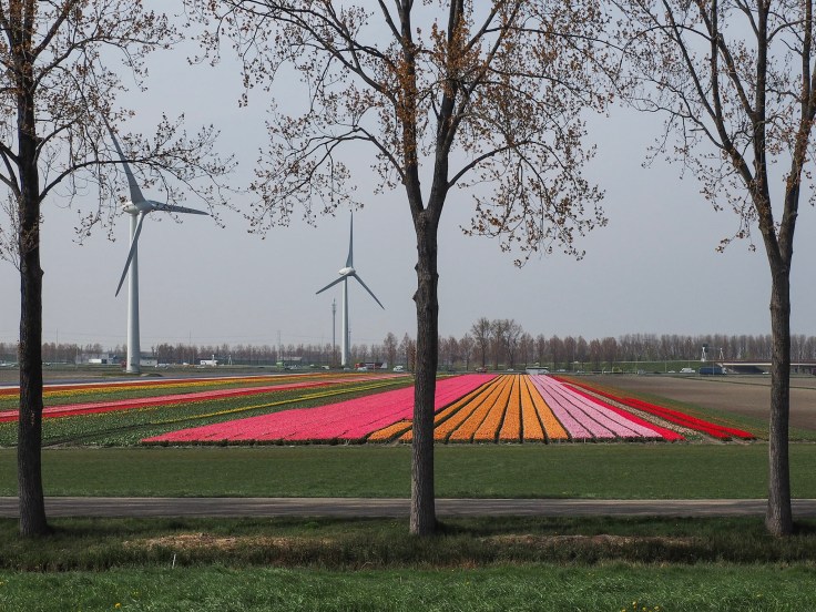 88F666D9-4455-4E1B-825B-8AAA6E8B4DEE